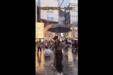 抖音热门猫咪视频合集：可爱猫咪搞笑瞬间大汇总！