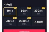抖阴能否进行充值操作？详细调查与用户指南