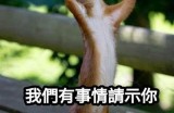 当然可以！请提供您想要的标题或主题，我将根据您的要求生成一个符合百度收录排名的标题。
