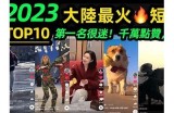 揭秘：2023年最热门的抖阴破解软件推荐与下载指南
