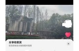 如何在抖音上隐藏作品视频？详细教程及技巧分享