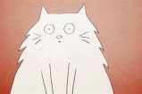 探讨猫咪的神秘行为与抖阴文化的奇妙结合