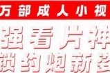 抖阴1.99版本下载：最新功能详解与安装指南