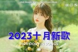 2023年最受欢迎的抖音相似软件推荐，助你快速打造热门短视频