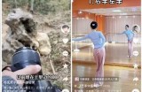 轻松学会制作抖音短视频的完整步骤与技巧分享