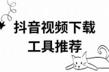 抖音vapk下载工具：轻松获取热门短视频资源