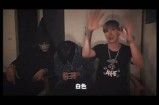 探索抖阴黑森林视频：揭开神秘背后的故事与精彩瞬间