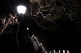 夜晚欣赏抖阴：了解其热门根本原因与观众反响