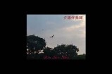 夕阴西下：悠扬音乐背景下的抖音精彩瞬间合集