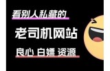 抖阴老司机软件网址分享：轻松获取最新资源与使用技巧