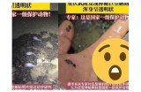 探索抖阴蝌蚪网：最新网红视频、热门短视频平台分享与解析