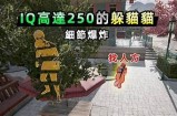 法克猫咪抖阴：揭秘猫咪搞笑而迷人的抖动瞬间