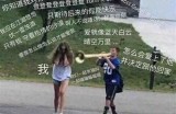 抖音爆红猫咪视频集合，蓝奏云汇总免费下载