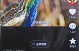 揭秘：抖音小视频如何快速吸引观众，提升播放量的实用技巧