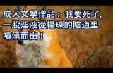 老抖阴老室：探索成人情感交流的新平台与体验
