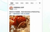 抖音优化板破解版下载：2023最新版本教程与使用技巧