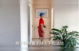 如何快速提升抖阴短视频的收录与排名技巧分享