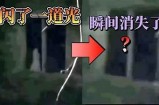 探秘抖阴黑森林：揭开神秘视频背后的故事与真相