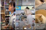 抖音优化版破解版下载，畅享黄版特有体验