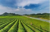 铜仁万山麻阴塘：美丽自然风光与抖音短视频分享汇聚之地