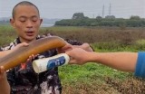 黄鳝进逼！揭秘抖阴背后的热门话题与讨论