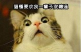 当然可以！请提供您想要的标题或主题，以便我为您生成一个合适的标题。