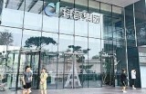 揭秘抖音博主的成功秘诀，助你快速涨粉的实用技巧
