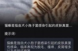 猫咪抖阴特征解析：揭开猫咪可爱行为背后的动因