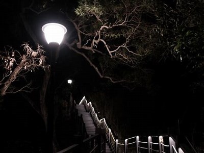 夜晚欣赏抖阴：了解其热门根本原因与观众反响