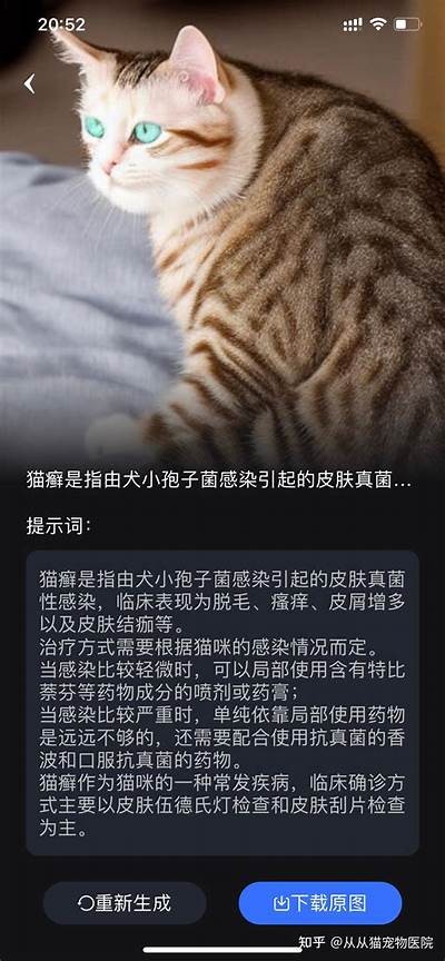 猫咪抖阴情况解析：揭开猫咪可爱行为背后的动因