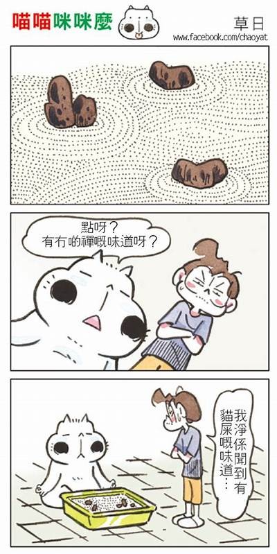 猫咪快喵抖阴：揭秘猫咪的神秘行为与趣味探索