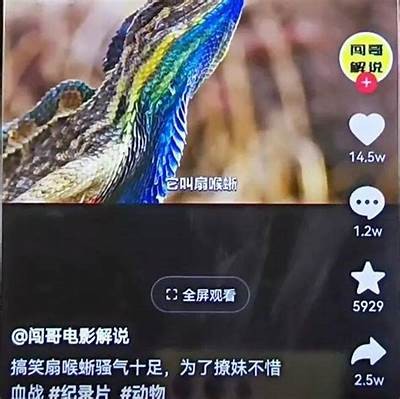 揭秘：抖音小视频如何快速吸引观众，提升播放量的实用技巧