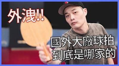 球球视频：探秘抖阴的精彩瞬间与玩法解析