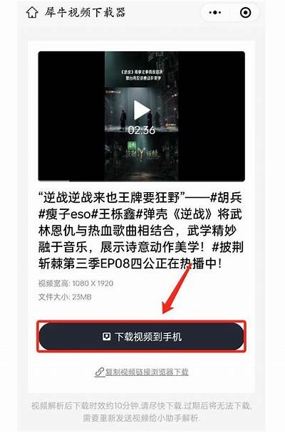深度解析：抖阴与抖音的本质区别与影响