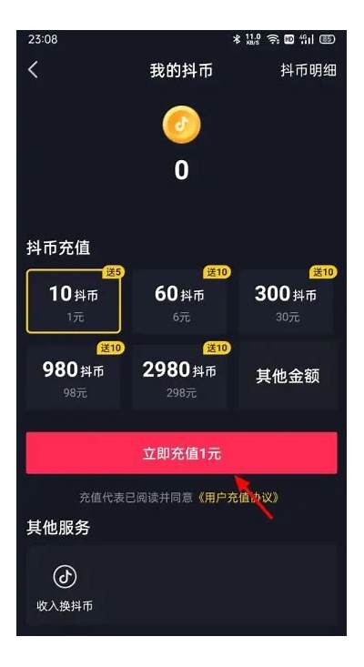 抖阴能否进行充值操作？详细研究与用户指南