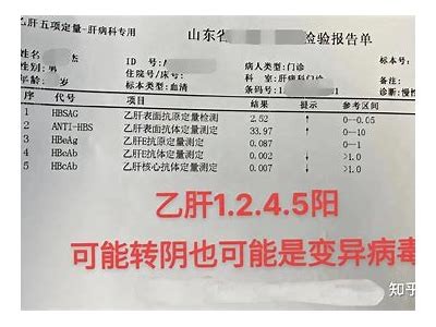 乙肝转阴成功分享：真实故事与科学治疗方法解析