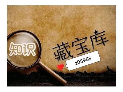 抖音破解技巧大揭秘，轻松获取高人气内容方法