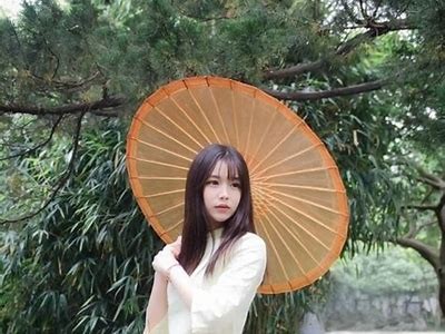 国际抖阴app：全球用户最爱短视频运用推荐