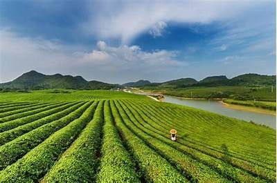 铜仁万山麻阴塘：美丽自然风光与抖音短视频分享汇聚之地