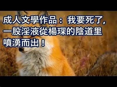 老抖阴老室：探索成人情感交流的新平台与体验