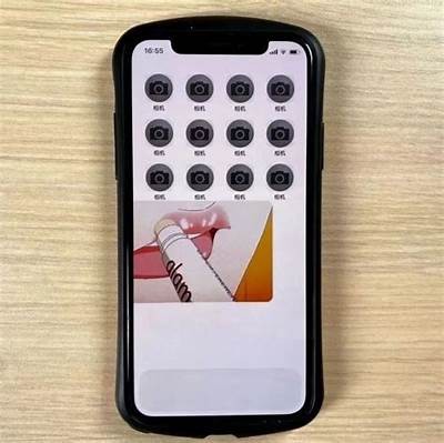 抖阴苹果App是否安全？使用前需了解的风险与注意事项