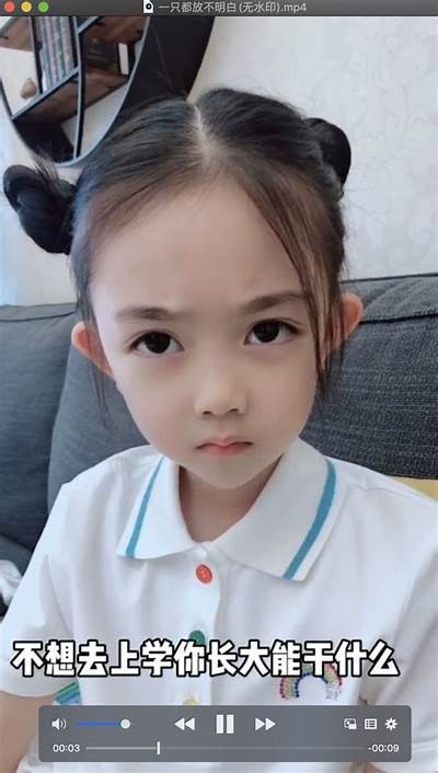 抖阴JS版：彻底解析与使用技巧，轻松掌握！