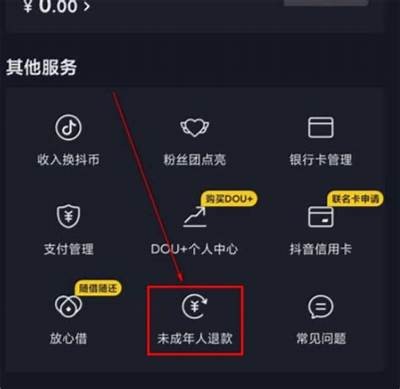 如何在抖阴平台申请退还押金？详尽步骤解析！