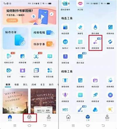 如何在抖音上获取热门mp4视频分享技巧