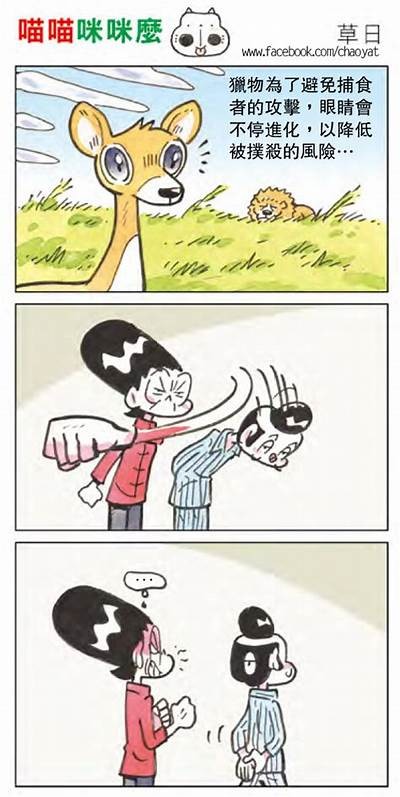快猫猫咪抖阴：探索可爱猫咪的趣味视频与精彩瞬间