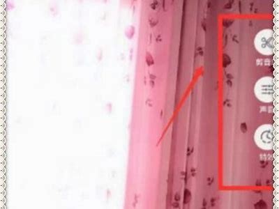 抖音短视频的魅力：如何快速提升你的观看量与粉丝数