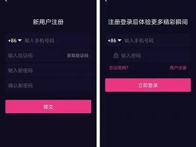 抖音破解版黄版下载，轻松获取无限精彩内容