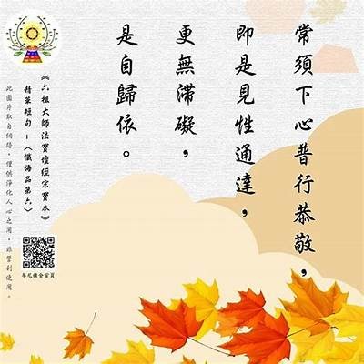 无所谓的抖阴，探索生活中的奇趣与幽默