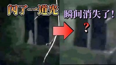 探秘抖阴黑森林：揭开神秘视频背后的故事与真相