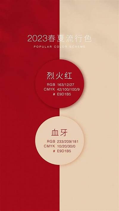 抖音导航：轻松找到热门短视频与精彩内容分享平台